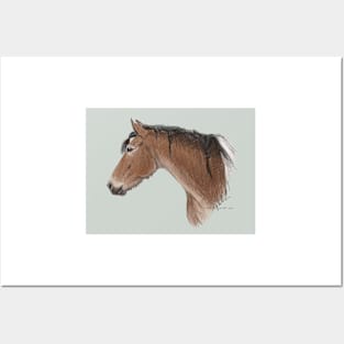 Pinto Horse Posters and Art